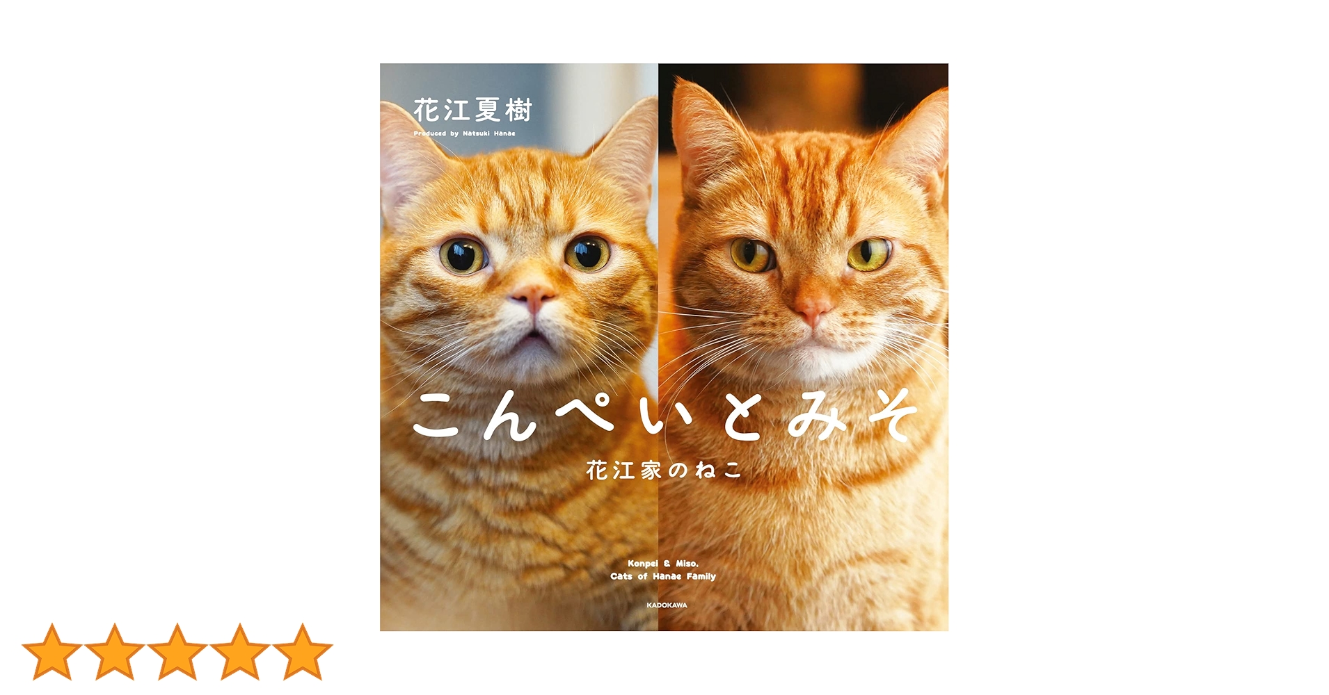 こんぺいとみそ 花江家のねこ | 花江 夏樹 |本 | 通販 | Amazon